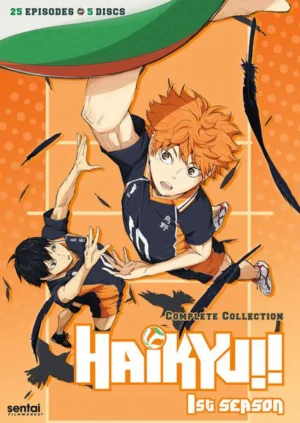 Haikyu – Chàng khổng lồ tí hon (Phần 1) - Haikyu!! (Season 1) (2015)